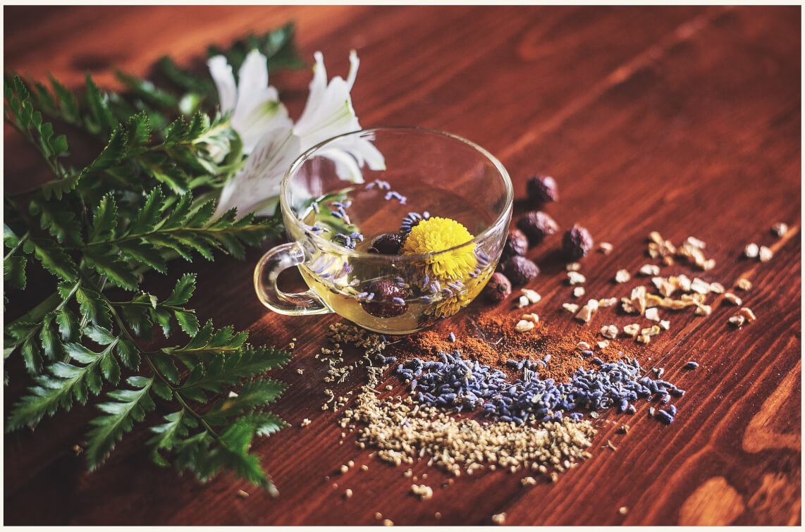 Natural Wellness: What is Integrative Medicine, and how can it help me?