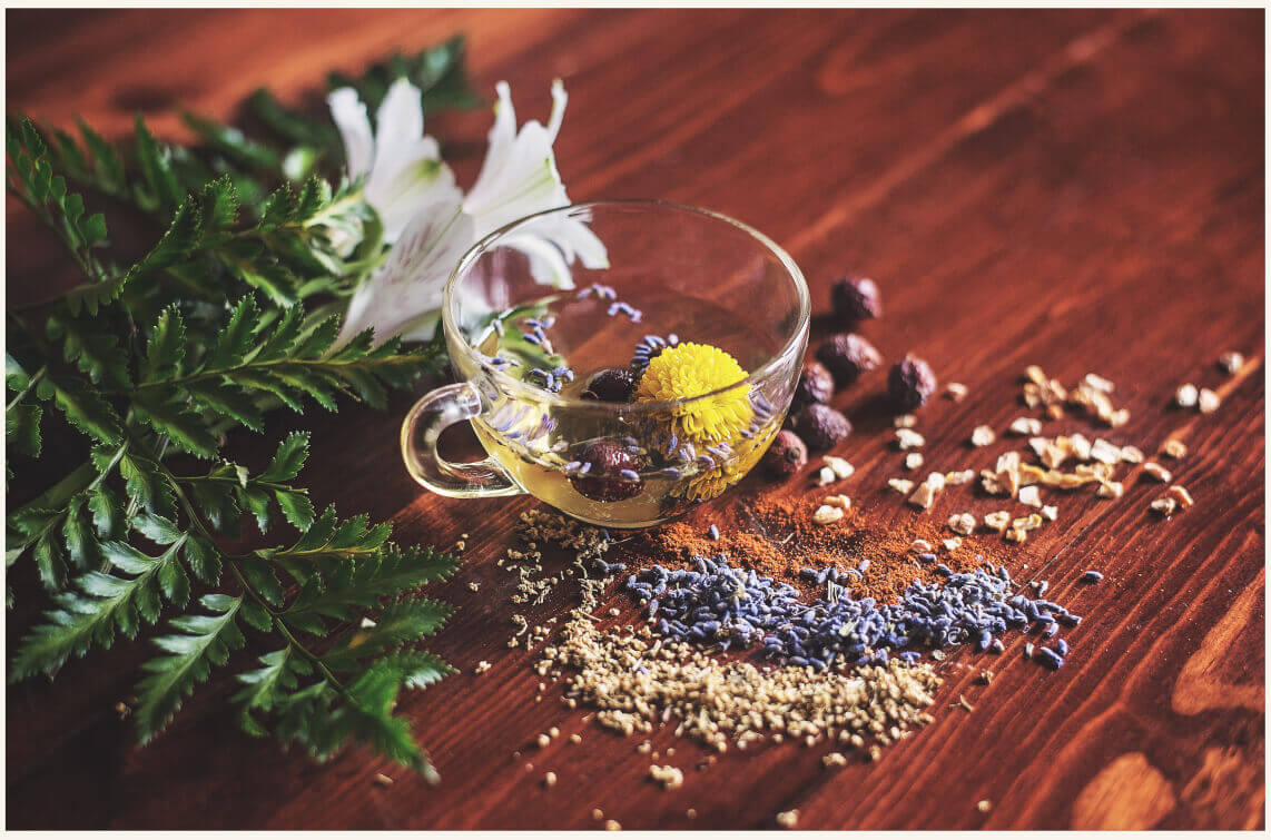 Natural Wellness: What is Integrative Medicine, and how can it help me? image